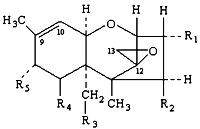 formula