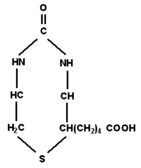formula4